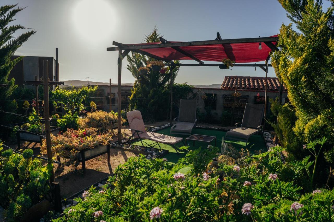 Entre Vides Valle De Guadalupe Luaran gambar