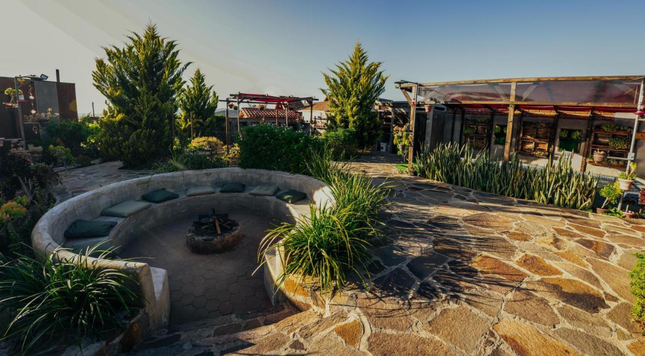 Entre Vides Valle De Guadalupe Luaran gambar